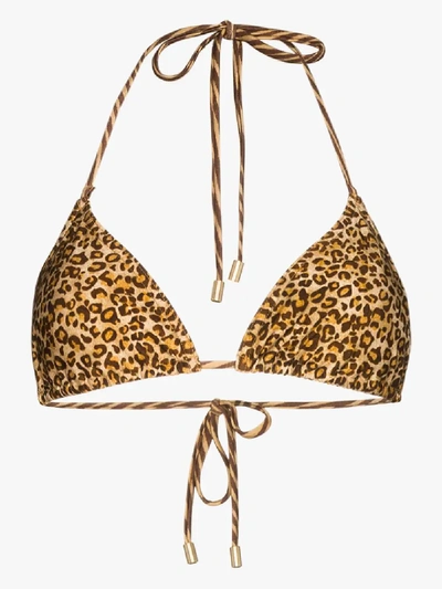 Shop Zimmermann Empire Leopard Triangle Bikini Top In Brown