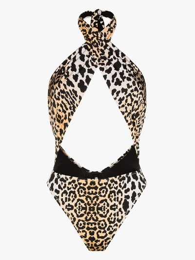 Shop Reina Olga Italian Stallion Leopard Print Swimsuit In Black