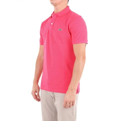 Shop Lacoste Pink Cotton Polo Shirt