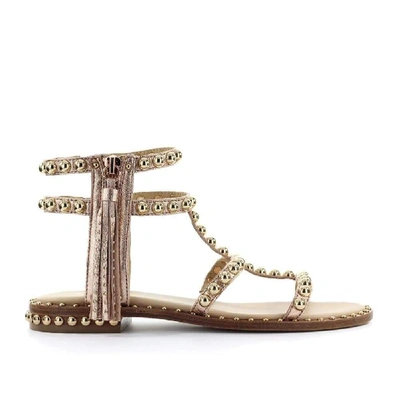 Shop Ash Pink Sandals