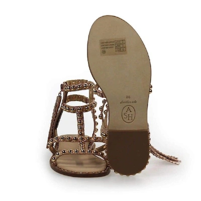 Shop Ash Pink Sandals