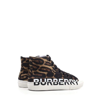 Shop Burberry Brown Hi Top Sneakers