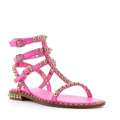 Shop Ash Fuchsia Leather Sandals