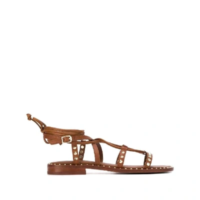 Shop Ash Women's Brown Leather Sandals