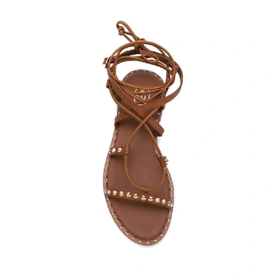 Shop Ash Women's Brown Leather Sandals