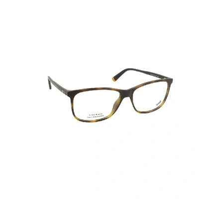 Shop Web Eyewear Women's Brown Acetate Glasses