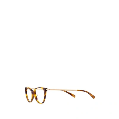 Shop Etnia Barcelona Women's Multicolor Metal Glasses