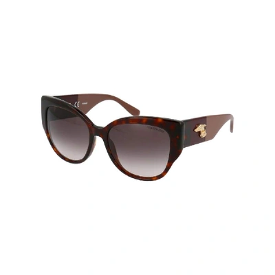 Shop Trussardi Women's Brown Acetate Sunglasses
