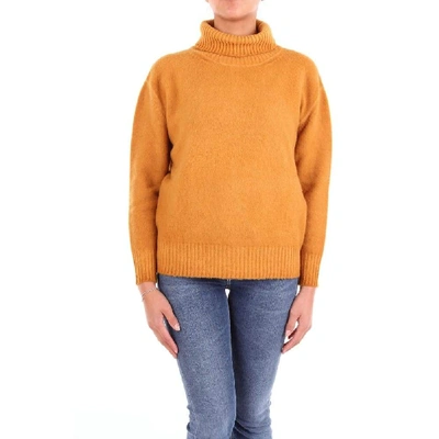 Shop Altea Yellow Wool Sweater