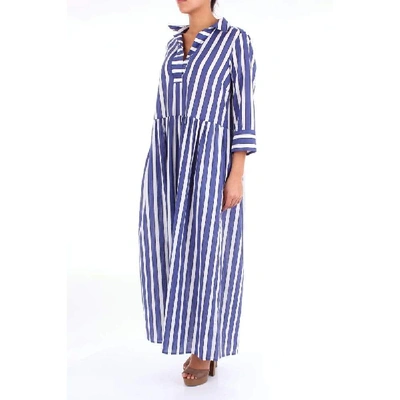 Shop Altea Blue Cotton Dress