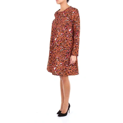 Shop Altea Women's Brown Viscose Dress