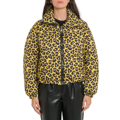 Shop Msgm Yellow Polyester Down Jacket