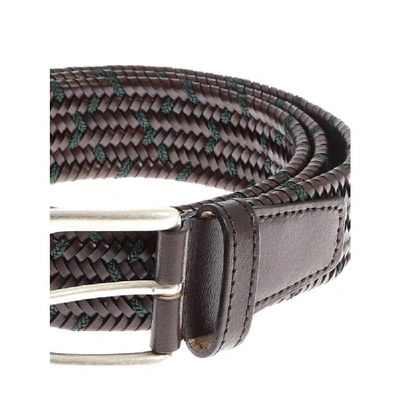 Shop Andrea D'amico Brown Leather Belt