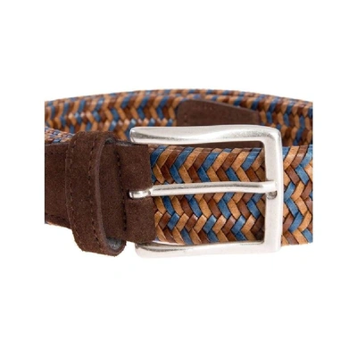 Shop Andrea D'amico Brown Leather Belt