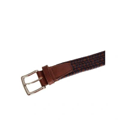 Shop Andrea D'amico Brown Leather Belt