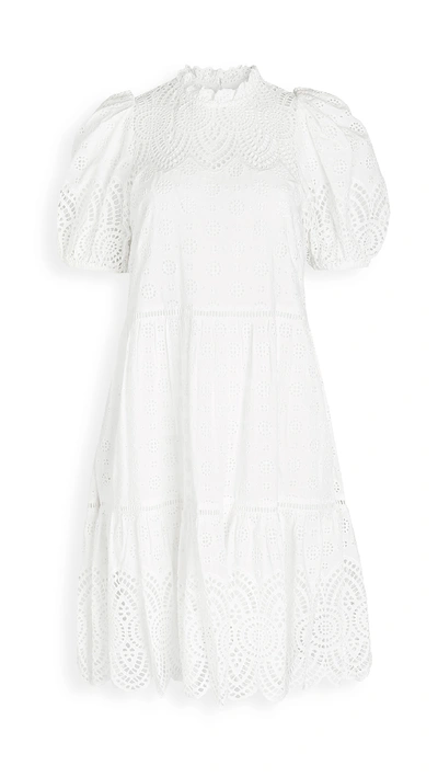 Shop Ulla Johnson Simone Dress In Pristine