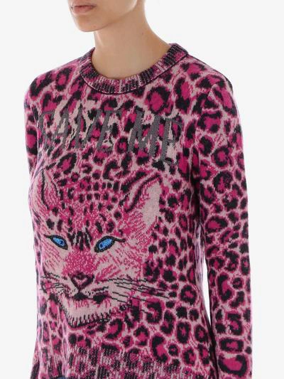 Shop Alberta Ferretti Sweater In Pink
