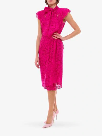 Shop Dolce & Gabbana Dress In Pink