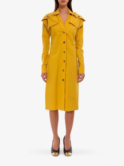 Shop Bottega Veneta Dress In Yellow