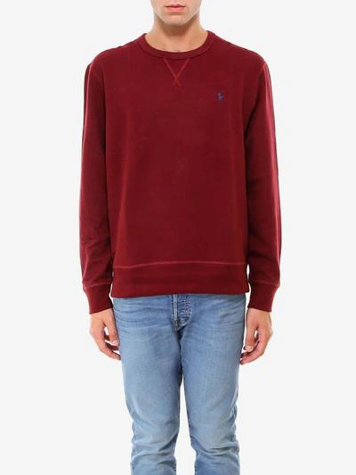 Shop Polo Ralph Lauren Sweatshirt In Red