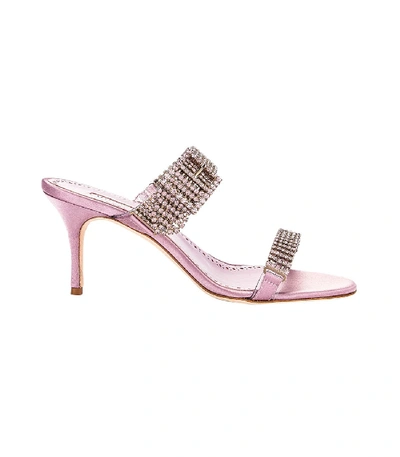 Shop Manolo Blahnik Pink Beopia Embellished Sandal