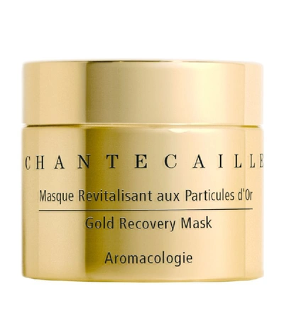 Shop Chantecaille Gold Recovery Mask (50ml) In White