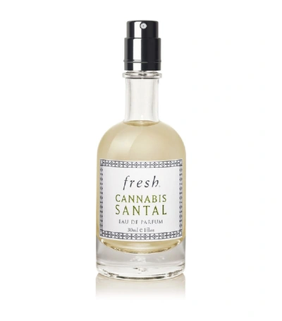 Shop Fresh Cannabis Santal Eau De Parfum (30 Ml) In White