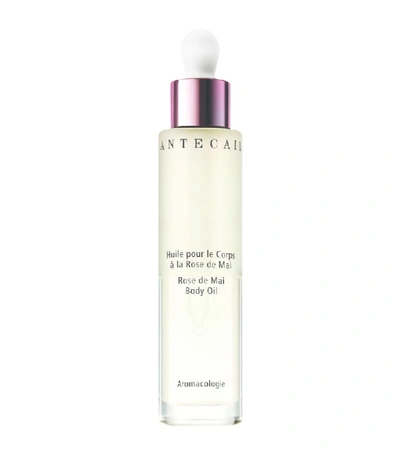 Shop Chantecaille Rose De Mai Body Oil (50ml) In White