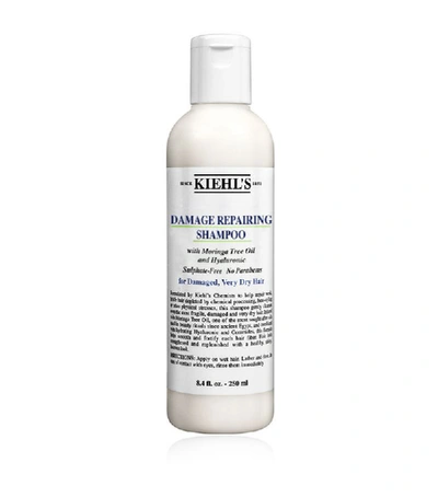 Shop Kiehl's Since 1851 Kiehl's Damage Reversing Shampoo (250 Ml) In White