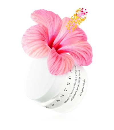 Shop Chantecaille Hibiscus Smoothing Mask (50ml)
