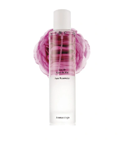 Shop Chantecaille Pure Rosewater (100ml) In White