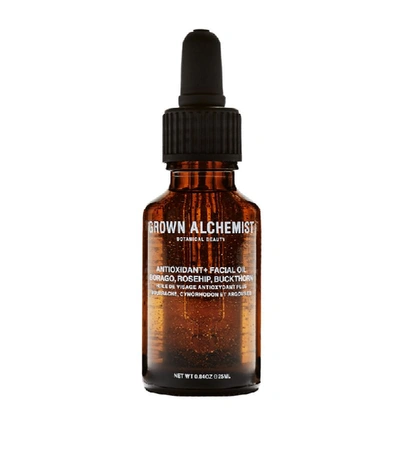 Shop Grown Alchemist Antioxidantx Facial Oil In White