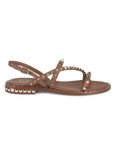 Shop Ash Women's Peace Studded Slingback Leather Sandals In Brown