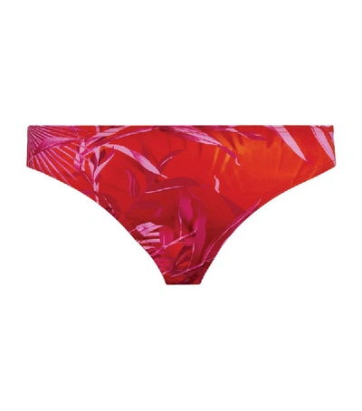 Shop Versace Leaf Print Bikini Bottoms