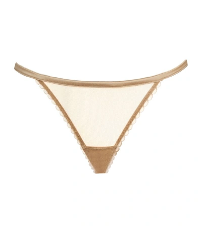 Shop Myla Verity Close Thong