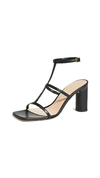 Shop Club Monaco Catiey Heel Sandals In Black
