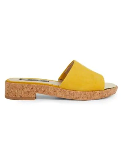 Shop Karl Lagerfeld Women's Cher Suede Mules In Yellow