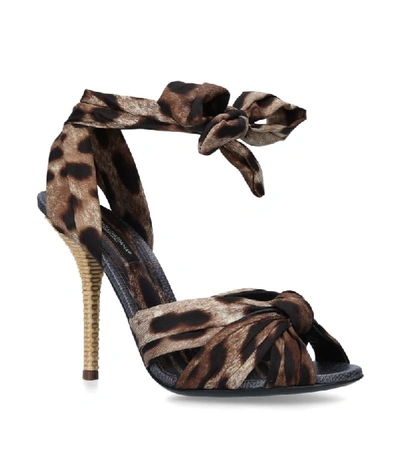 Shop Dolce & Gabbana Leopard Print Keira Bow Sandals 105