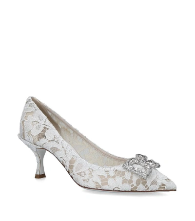 Shop Dolce & Gabbana Lace Bellucci Pumps 60