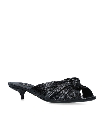 Shop Dolce & Gabbana Keira Kitten Mules 30