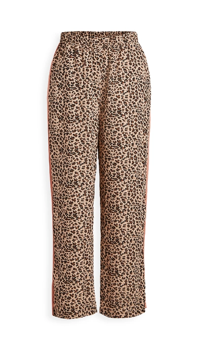 Shop Bb Dakota Cats Out Of The Bag Pants In Brown