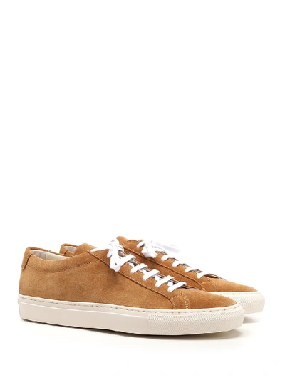 Shop Common Projects Original Achilles Low Sneakers In Brown