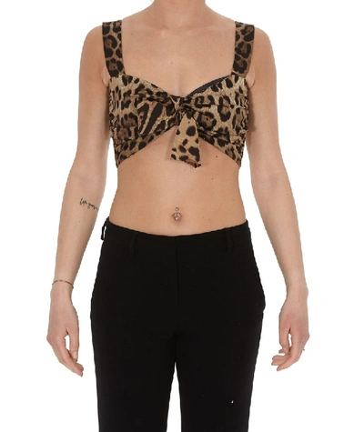 Shop Dolce & Gabbana Animal Print Cropped Top In Brown