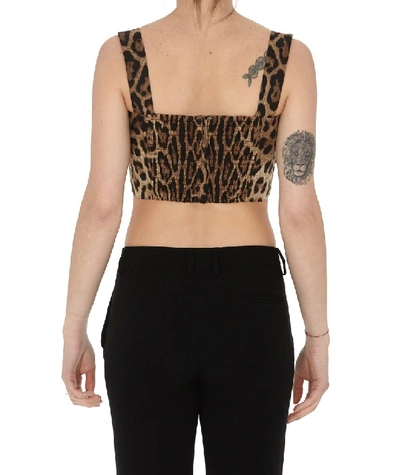 Shop Dolce & Gabbana Animal Print Cropped Top In Brown