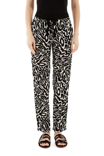 Shop Pinko Zebra Print Track Pants In Multi