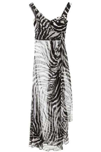 Shop Dolce & Gabbana Zebra Print Sheer Maxi Dress In Multi