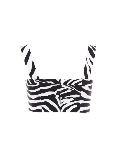 Shop Dolce & Gabbana Zebra Print Cropped Top In Multi