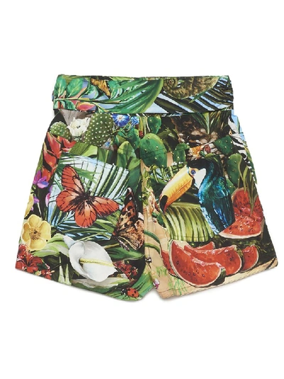 Shop Dolce & Gabbana Jungle Print Bow Shorts In Multi
