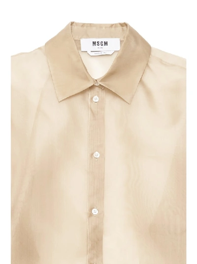 Shop Msgm Sheer Shirt In Beige