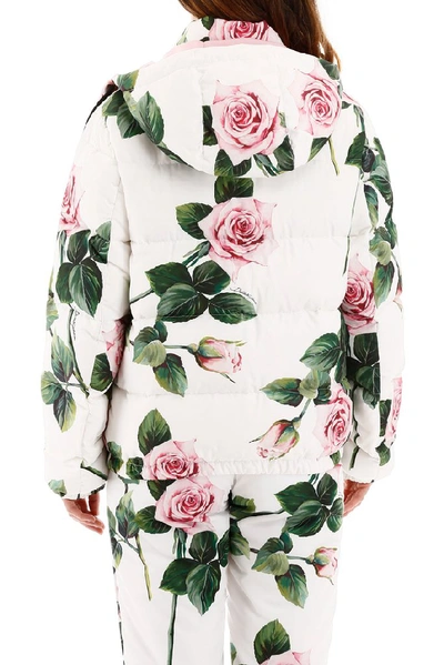 Shop Dolce & Gabbana Floral Print Reversible Puffer Jacket In Pink